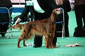 Crufts2011 012